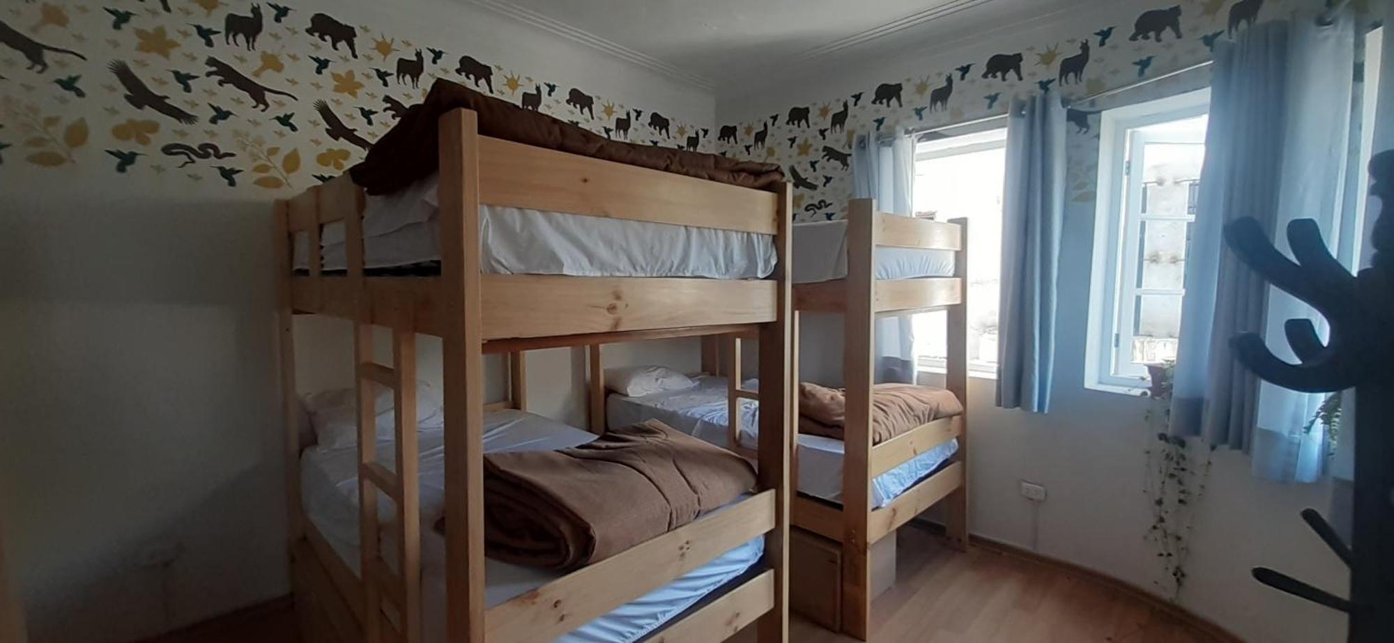 Quinoa Backpackers Albergue