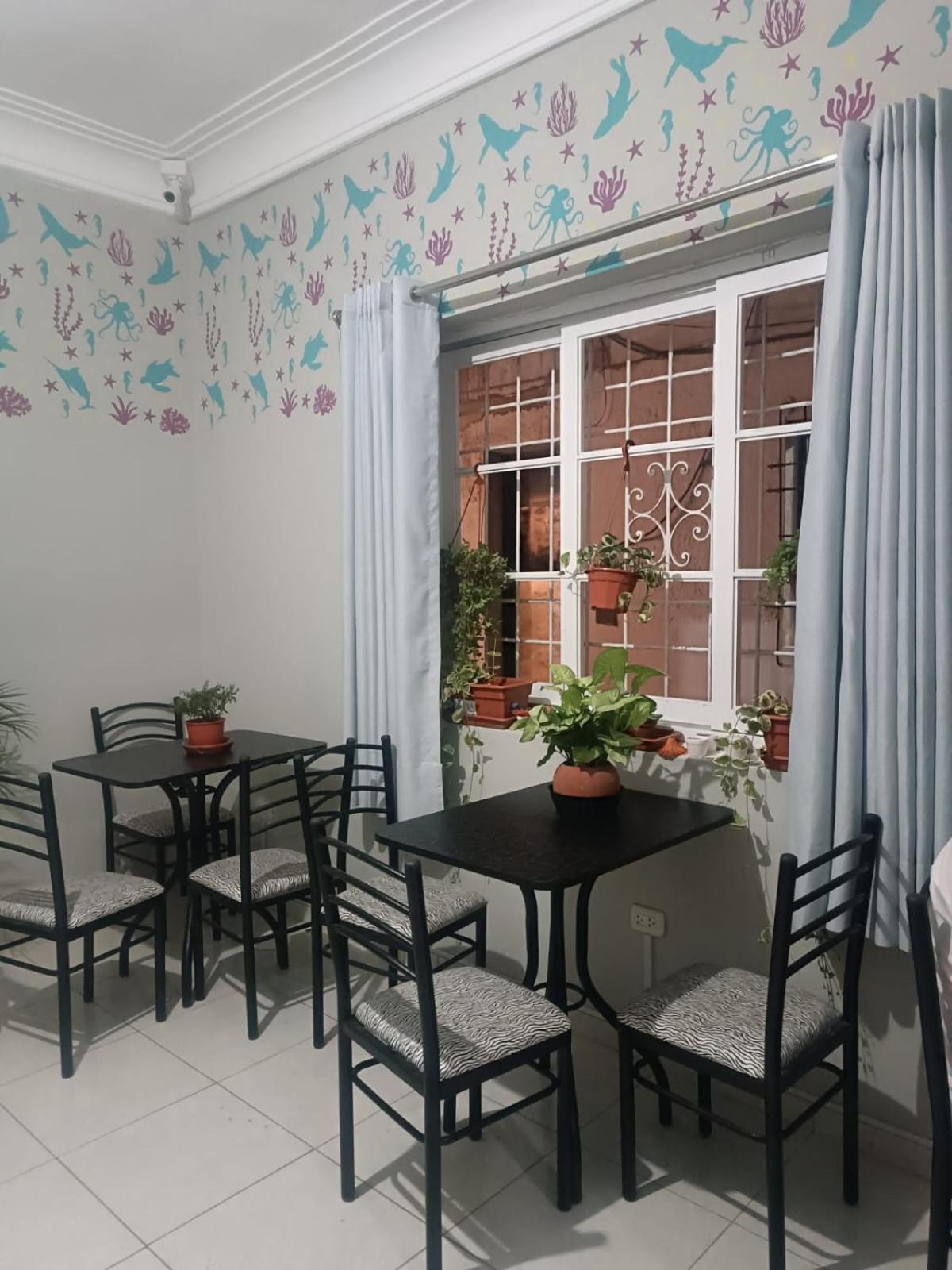 Quinoa Backpackers Albergue
